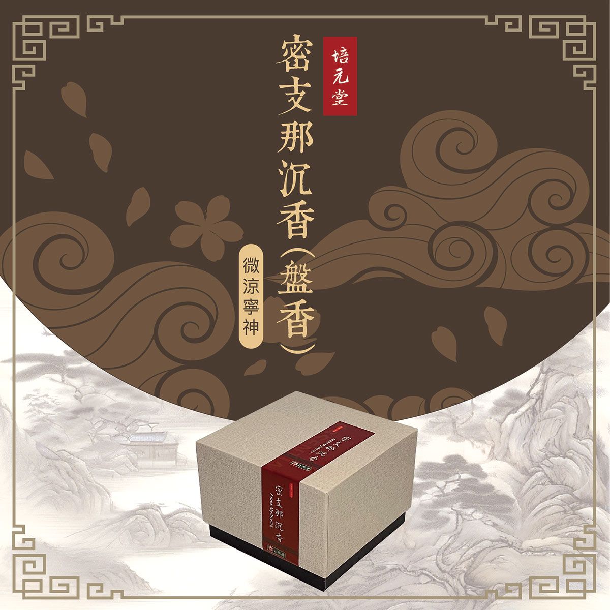 密支那封面.jpg